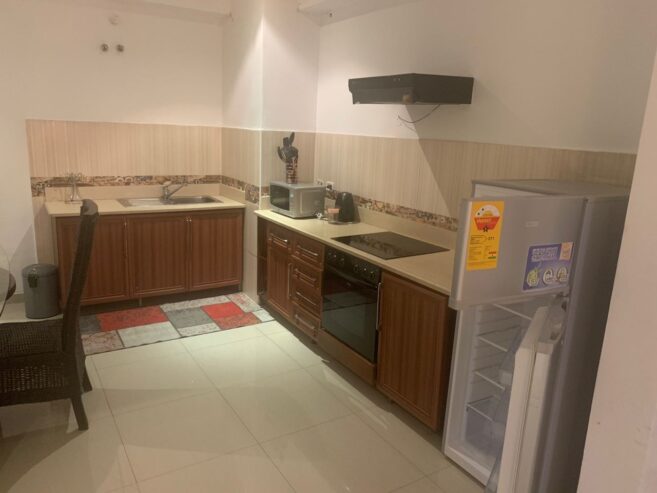 An Executive 2 & 3 Bedroom Apartment For Rent at Airport Residential Area