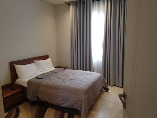 1 &2 Bedroom Furnished Apartment For Rent at Labone