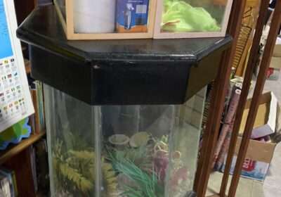 fish-tank