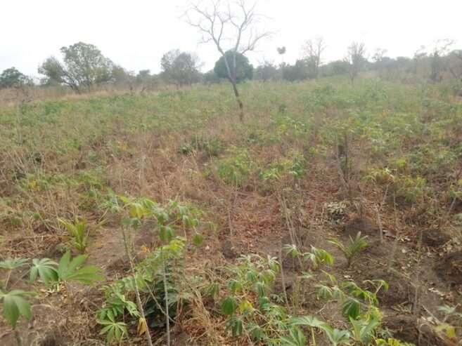 6 plots of land at Ogbojo, East Legon