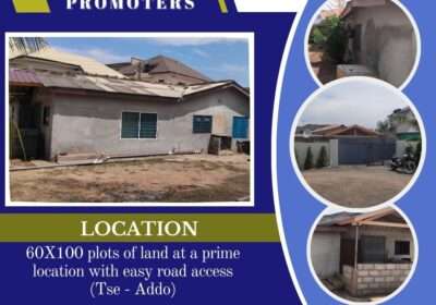 PROPERTY-PROMOTERS