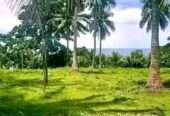 BEACHFRONT LAND FOR SALE AT MUMFORD