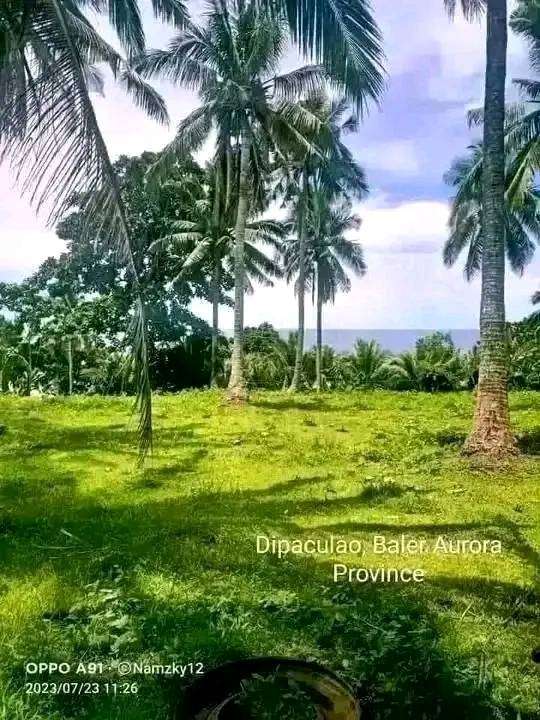 BEACHFRONT LAND FOR SALE AT MUMFORD Accra Expats