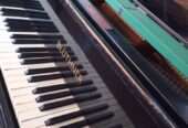 PIANOS