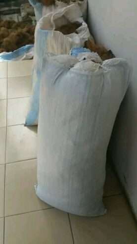 Coconut Fiber for Sale