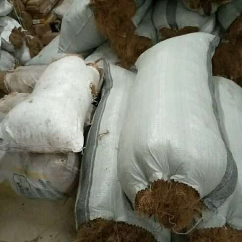 Coconut Fiber for Sale