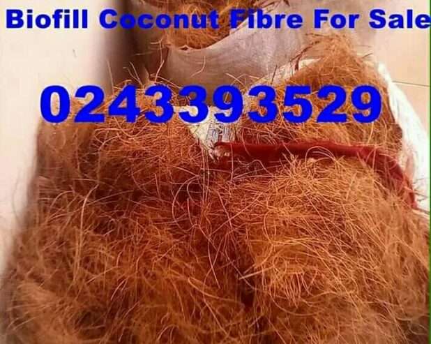 Coconut Fiber for Sale