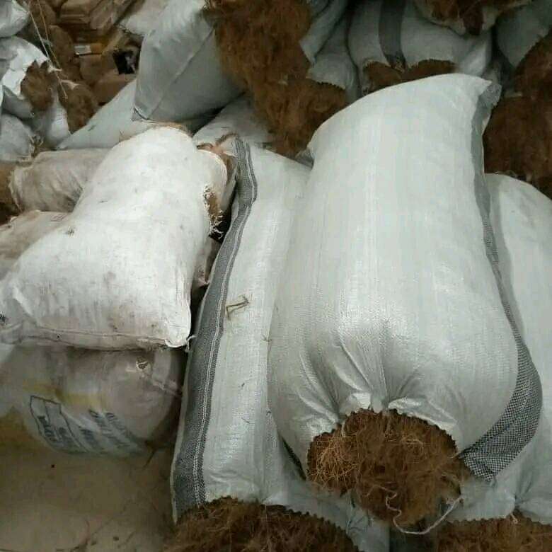 Coconut Fiber Coir for sale