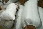 Coconut Fiber