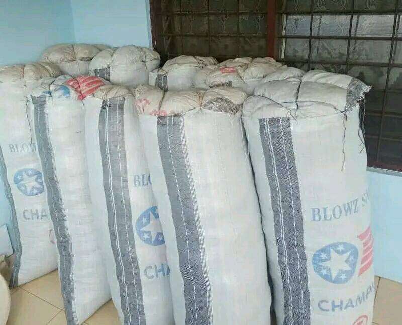 Coconut Fiber
