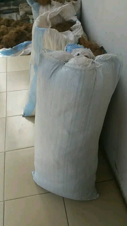Coconut Fiber