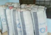 Coconut Fiber