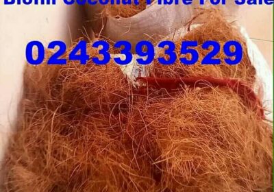 Coconut-Fiber