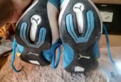 Puma Sport Sneakers