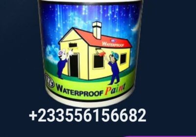 1000040362